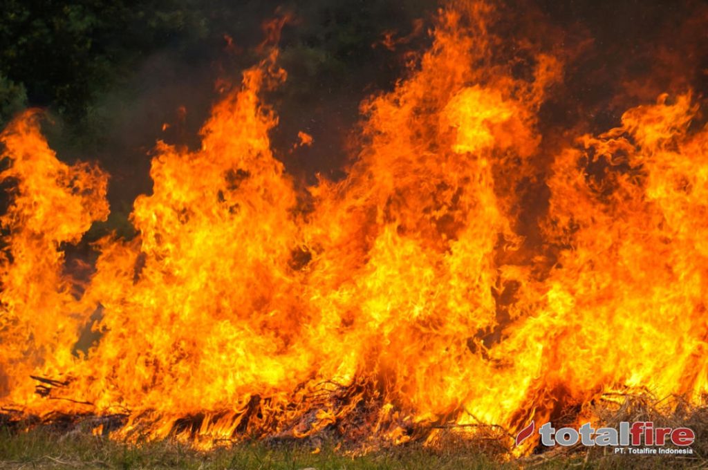Penggunan Gas Halon untuk Agen Pemadam Kebakaran